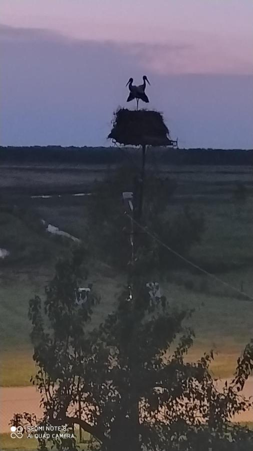 Wrota Biebrzy Villa Wrocen Bagian luar foto