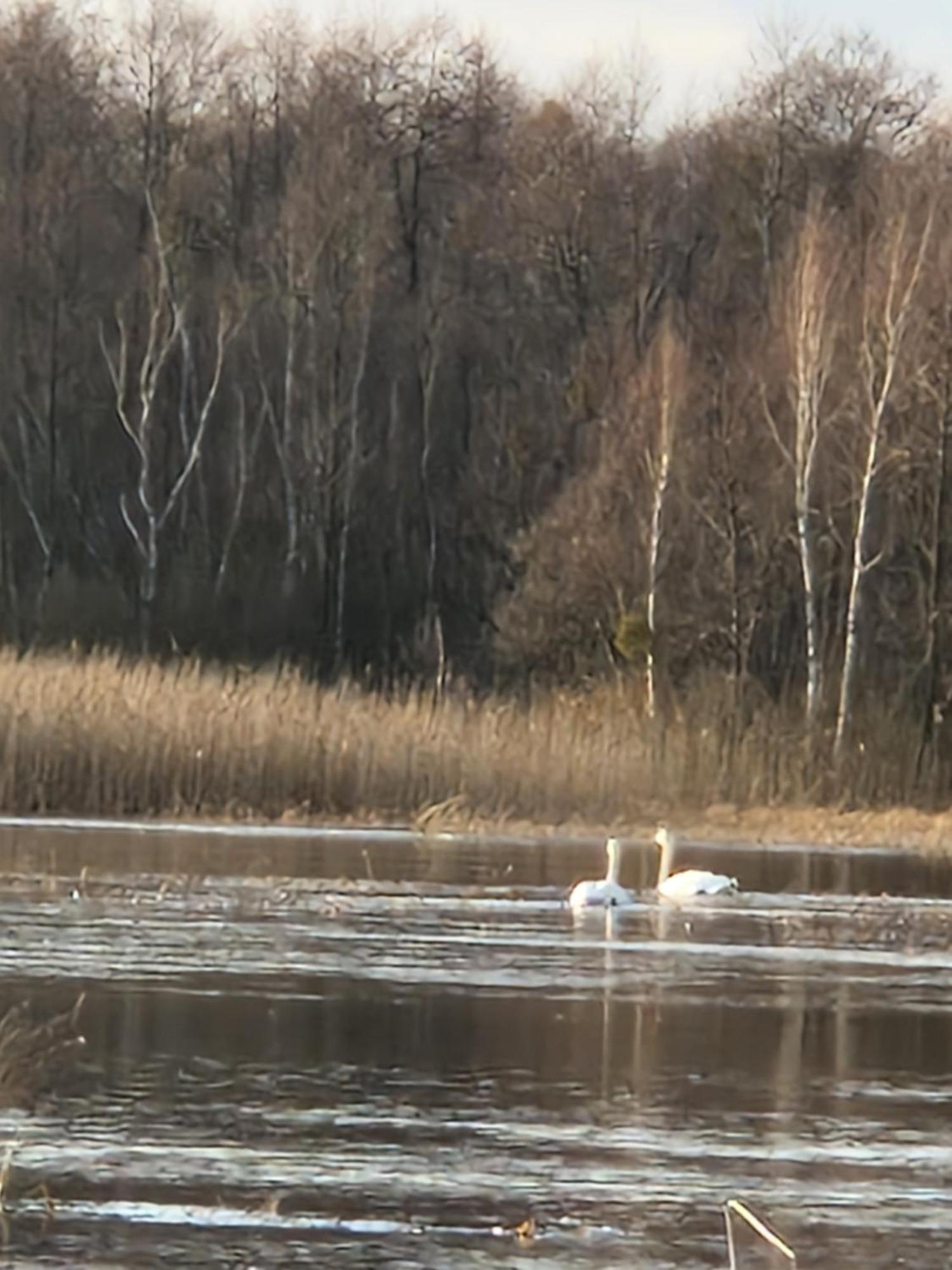 Wrota Biebrzy Villa Wrocen Bagian luar foto
